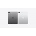 iPad Pro 12.9 inç