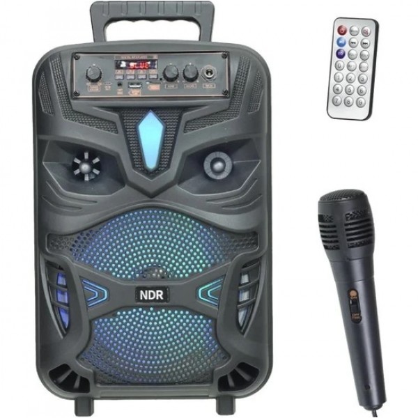 Auris NDR-P55 USB - Sd - Bluetooth'lu Kablolu Mikrofon 8'' Portatif Se…